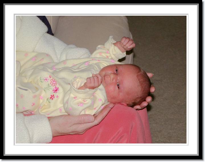 Click for the original image